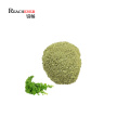 Factory Supply Kale Leaf Extract Organic Brassica Oleracea Extract Powder Price in Bulk